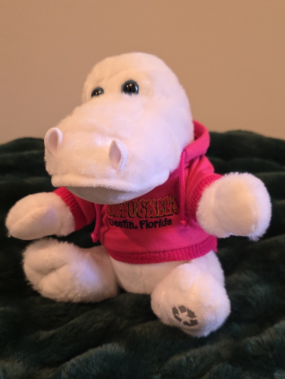 Plush Dinosaur Fudpucker's Destin Florida Pet White Reptile Toy in Pink Hoodie